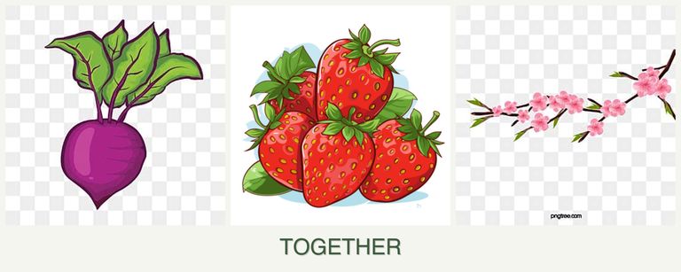 Can you plant beets, strawberries and peaches together?