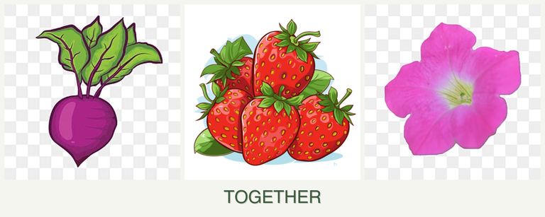 Can you plant beets, strawberries and petunias together?