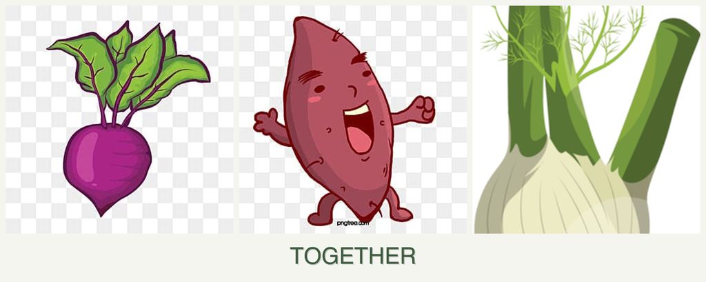 Can you plant beets, sweet potatoes and fennel together?