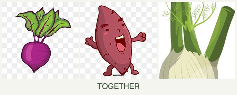 Can you plant beets, sweet potatoes and fennel together?