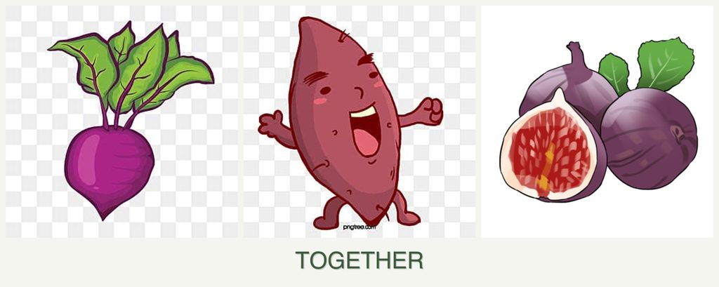 Can you plant beets, sweet potatoes and figs together?