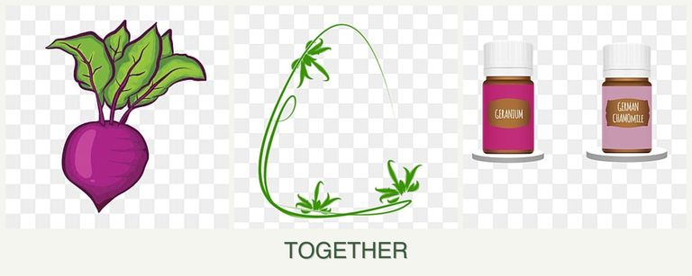 Can you plant beets, tarragon and geraniums together?