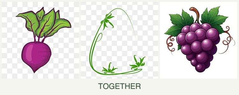 Can you plant beets, tarragon and grapes together?