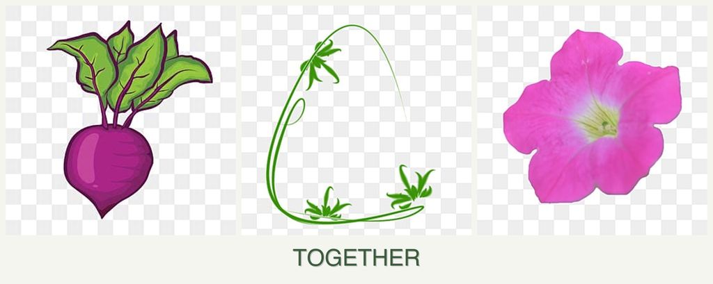 Can you plant beets, tarragon and petunias together?