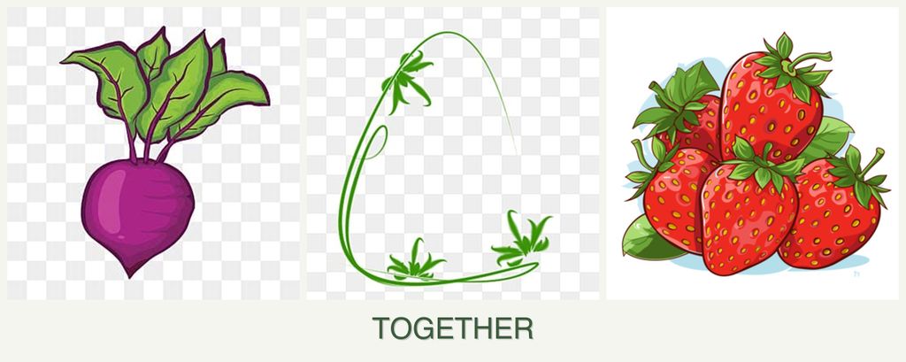 Can you plant beets, tarragon and strawberries together?