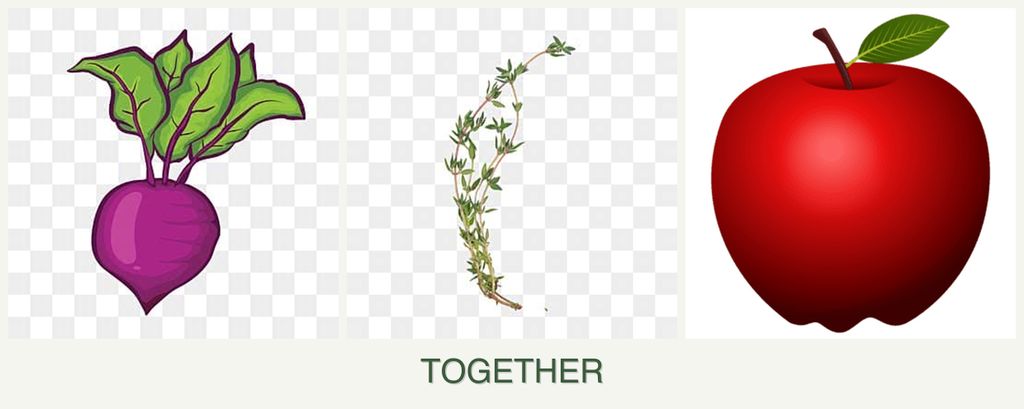 Can you plant beets, thyme and apples together?