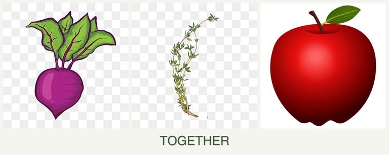 Can you plant beets, thyme and apples together?