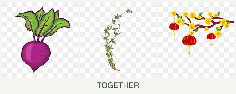 Can you plant beets, thyme and apricots together?