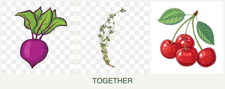 Can you plant beets, thyme and cherries together?