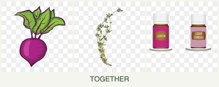 Can you plant beets, thyme and geraniums together?