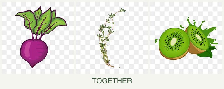 Can you plant beets, thyme and kiwi together?