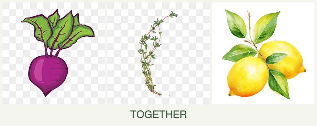Can you plant beets, thyme and lemons together?