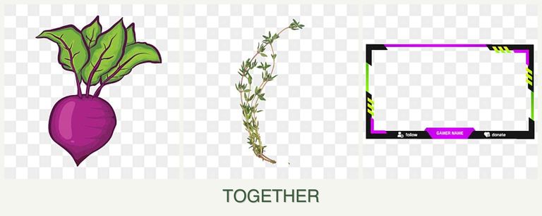 Can you plant beets, thyme and limes together?