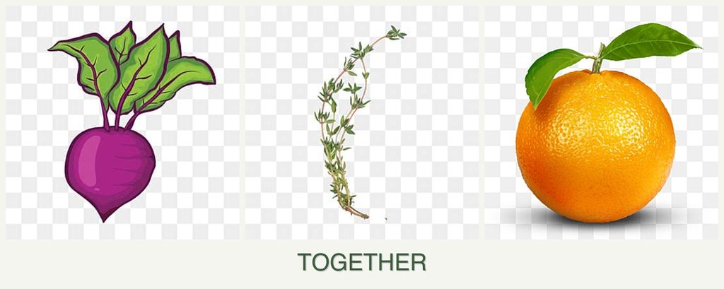 Can you plant beets, thyme and oranges together?