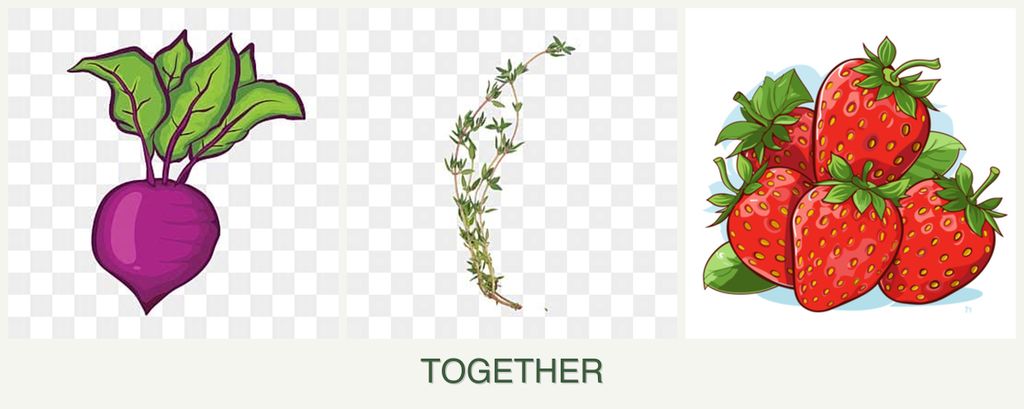 Can you plant beets, thyme and strawberries together?