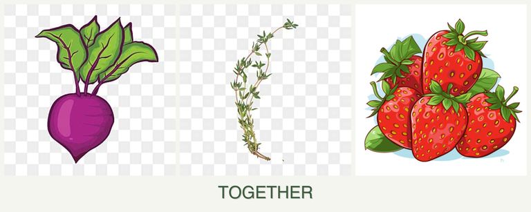 Can you plant beets, thyme and strawberries together?