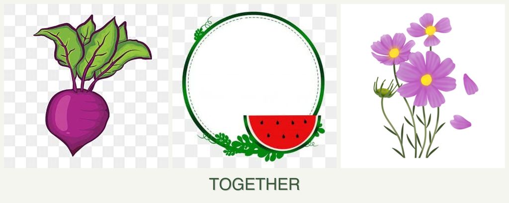Can you plant beets, watermelons and cosmos together?