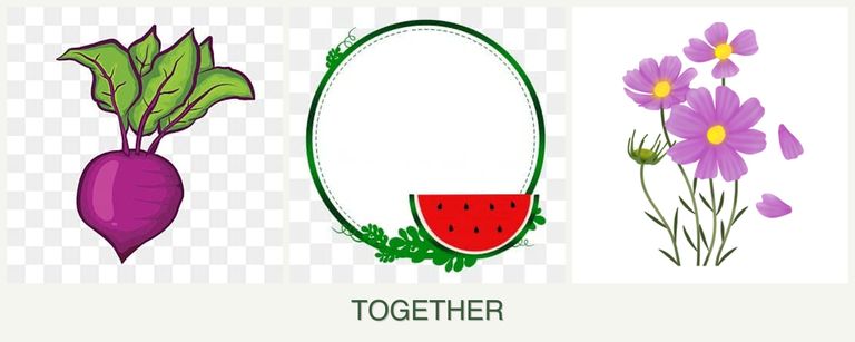 Can you plant beets, watermelons and cosmos together?
