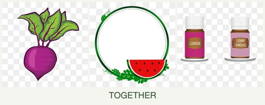 Can you plant beets, watermelons and geraniums together?