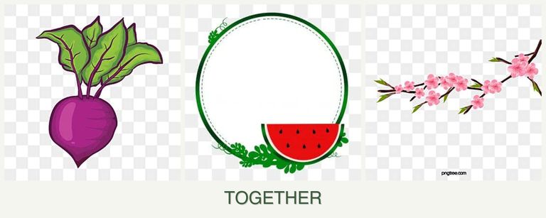 Can you plant beets, watermelons and peaches together?