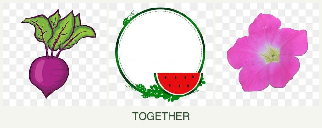 Can you plant beets, watermelons and petunias together?