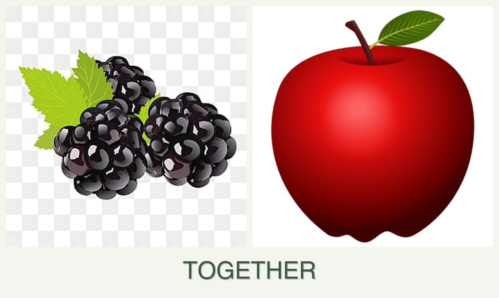 Can you plant blackberries and apples together?