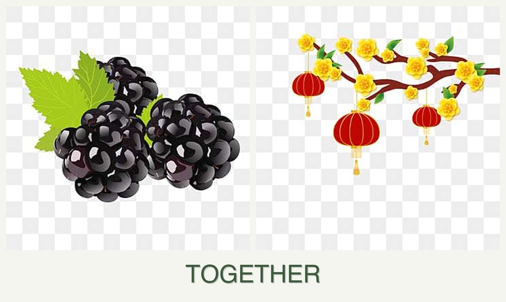 Can you plant blackberries and apricots together?