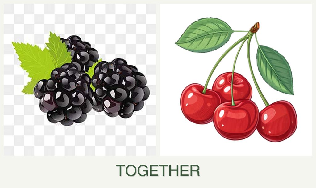 Can you plant blackberries and cherries together?