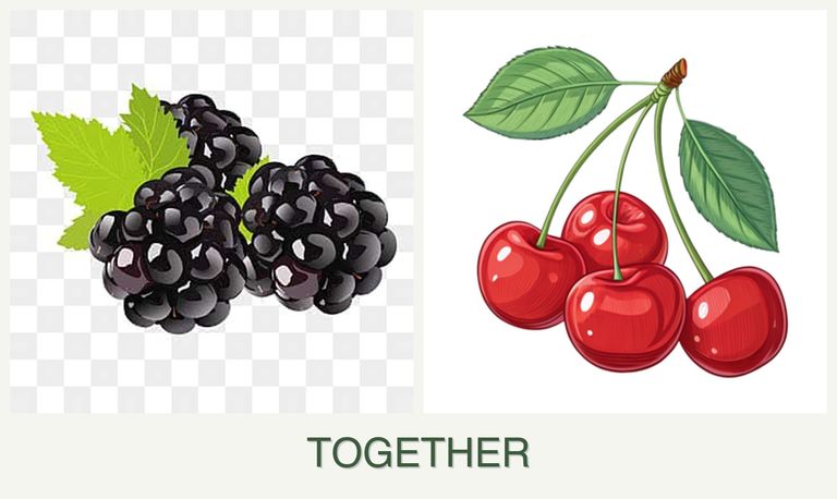 Can you plant blackberries and cherries together?