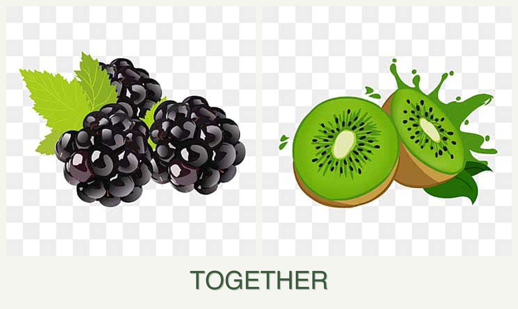 Can you plant blackberries and kiwi together?