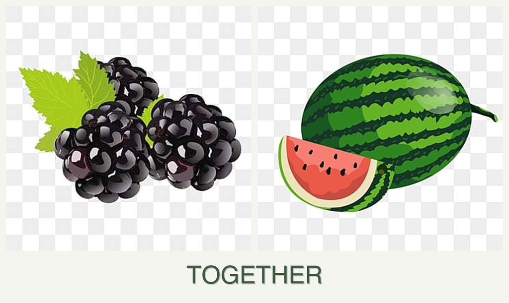 Can you plant blackberries and melons together?