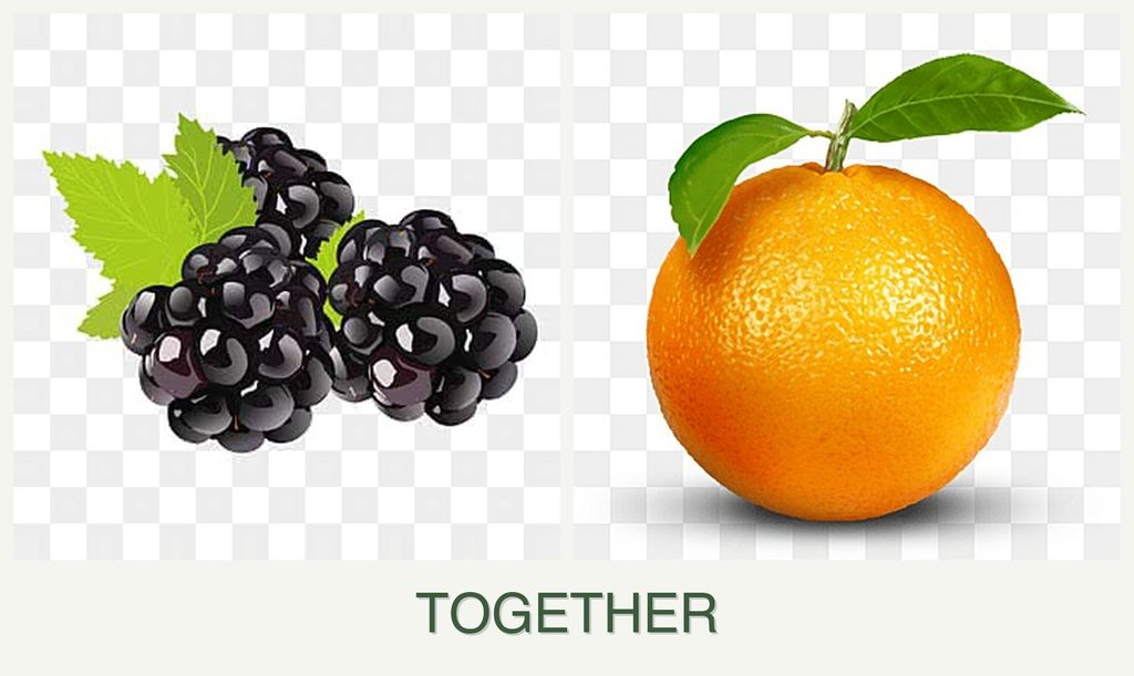 Can you plant blackberries and oranges together?