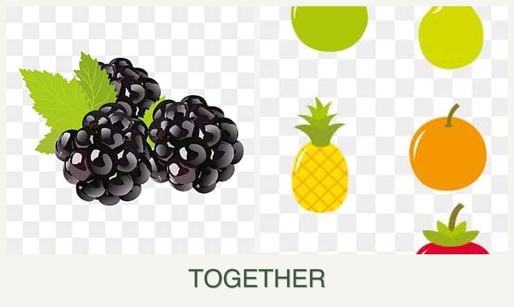 Can you plant blackberries and pears together?