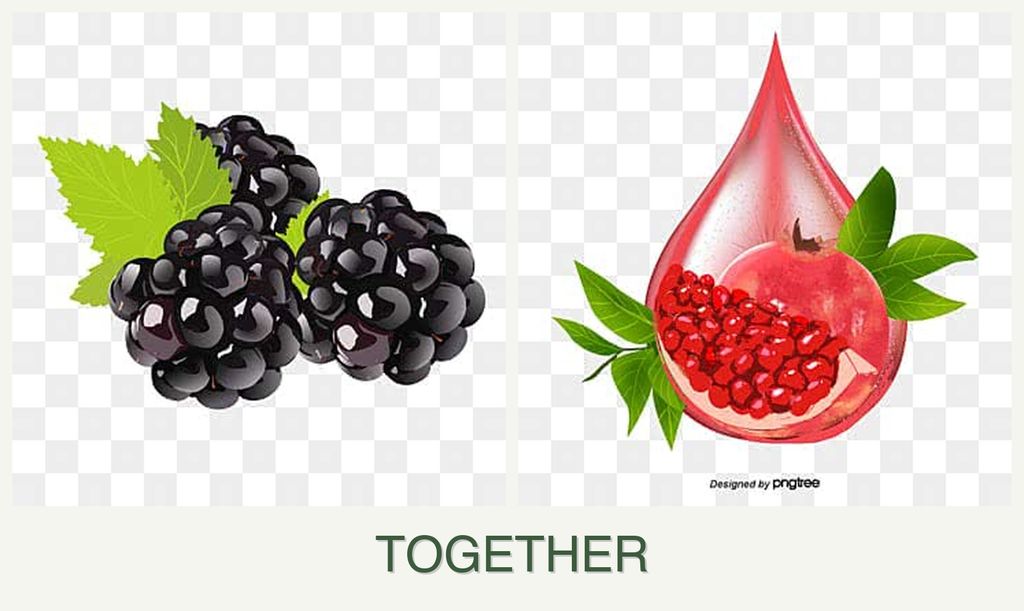 Can you plant blackberries and pomegranates together?