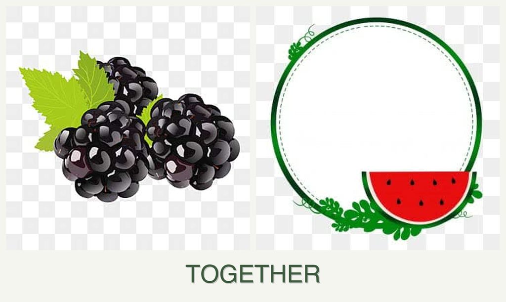 Can you plant blackberries and watermelons together?