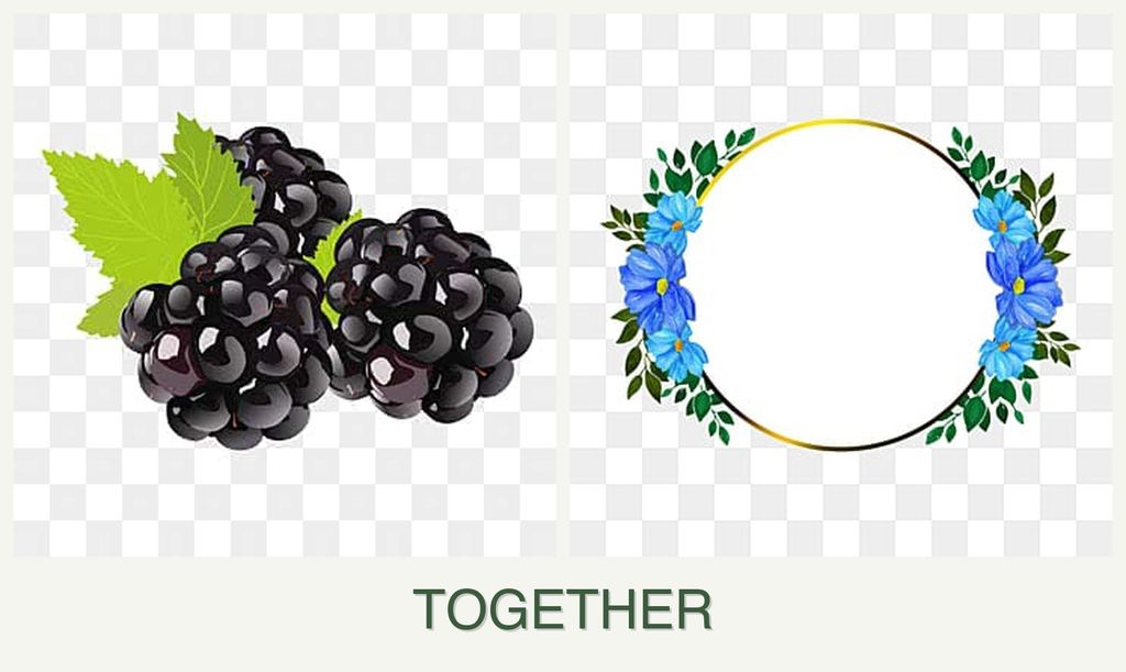 Can you plant blackberries and zinnias together?