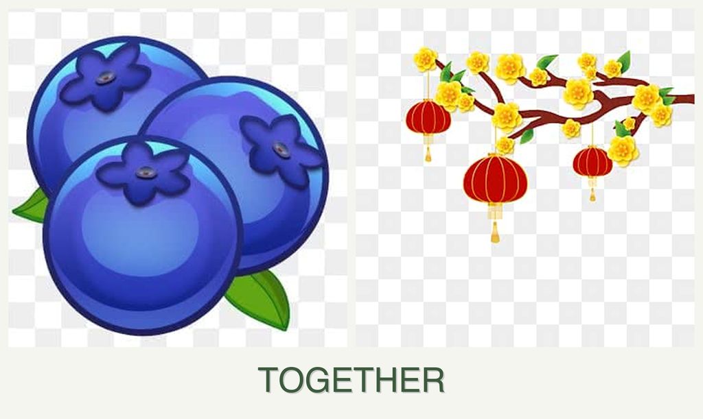 Can you plant blueberries and apricots together?