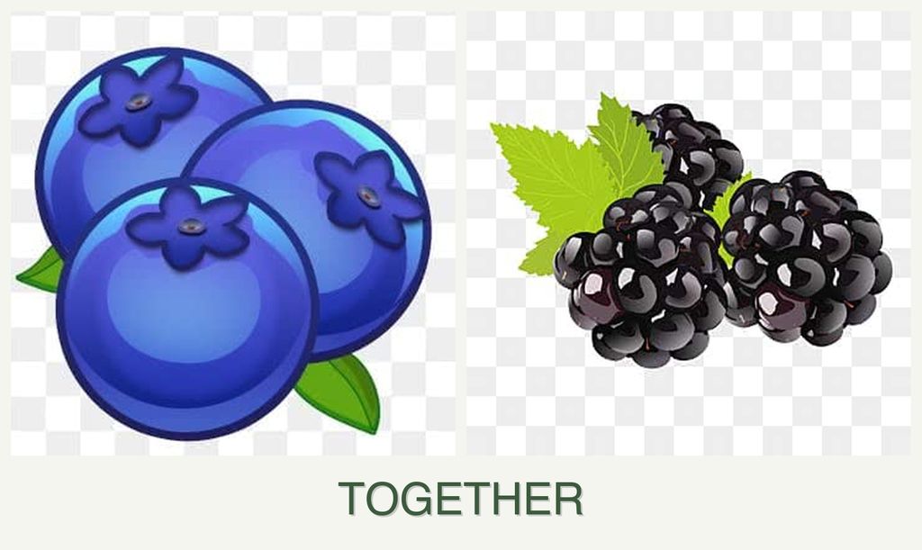 Can you plant blueberries and blackberries together?