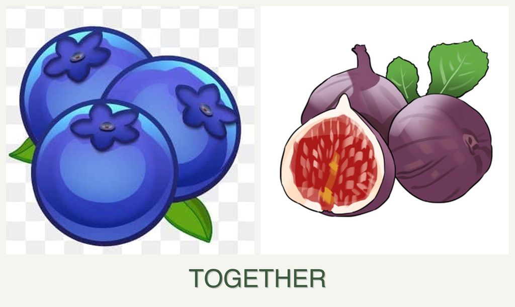 Can you plant blueberries and figs together?