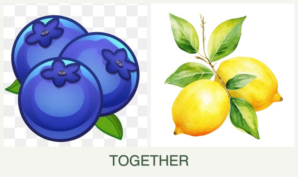 Can you plant blueberries and lemons together?