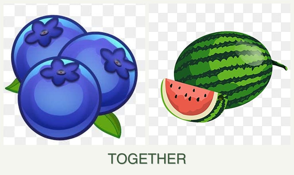 Can you plant blueberries and melons together?