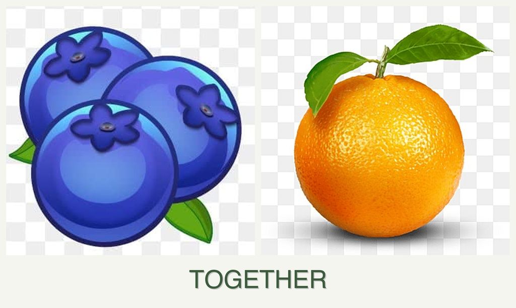 Can you plant blueberries and oranges together?