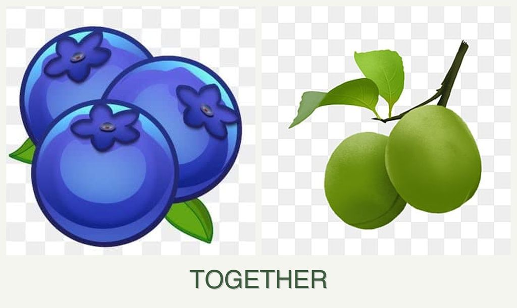 Can you plant blueberries and plums together?