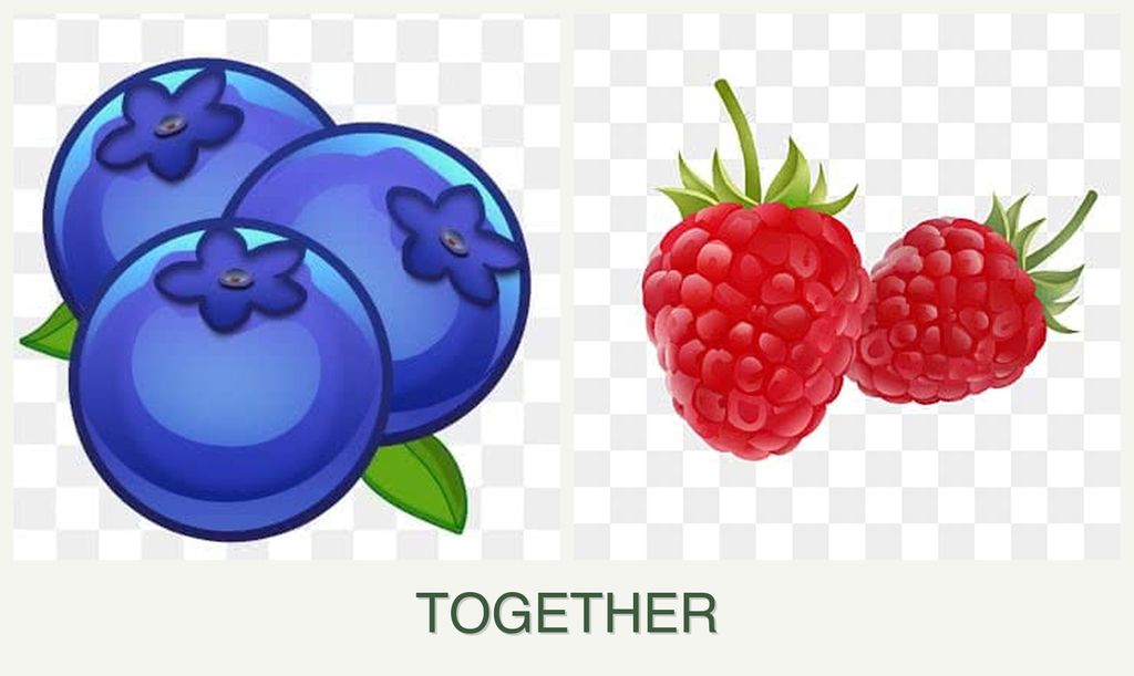 Can you plant blueberries and raspberries together?