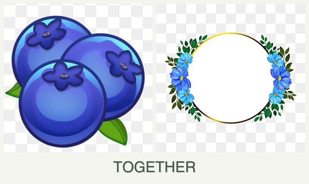 Can you plant blueberries and zinnias together?