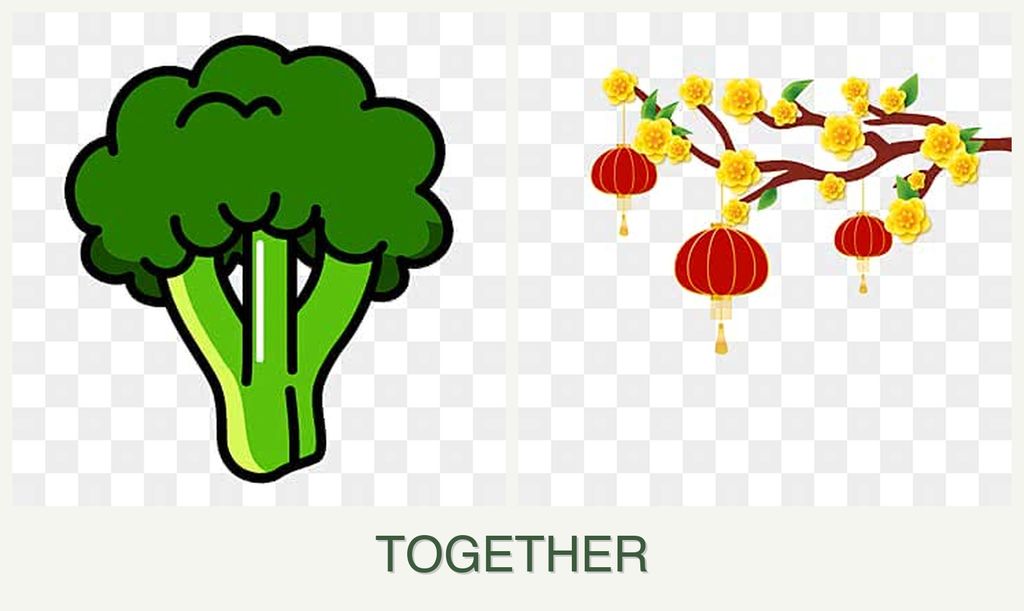 Can you plant broccoli and apricots together?