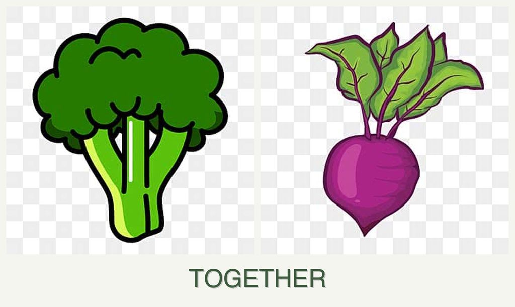 Can you plant broccoli and beets together?