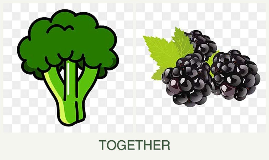Can you plant broccoli and blackberries together?