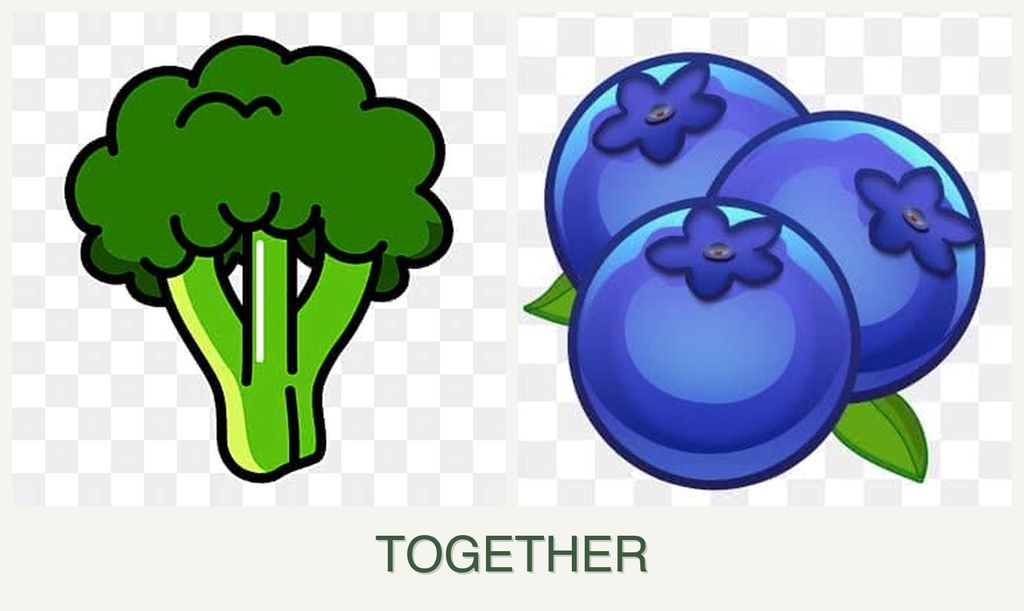 Can you plant broccoli and blueberries together?