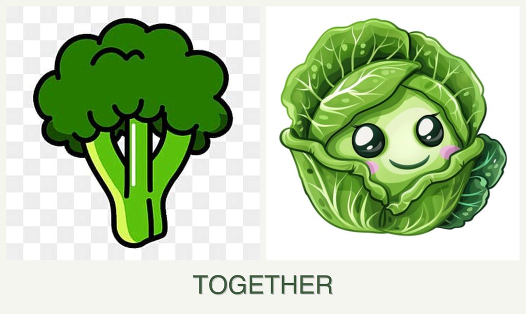 Can you plant broccoli and cabbage together?